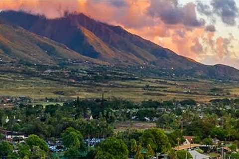 “We Are Refugees in Our Own Home” Rebuild Maui
