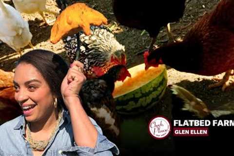 Cecilia Tries Lemon Cucumbers, Guava Pineapples and Ground Cherries | Check, Please! Bay Area