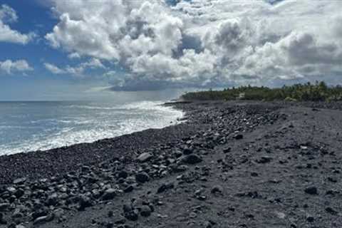 Afternoon walkabout the property with the kids #hawaii #relaxing #diy