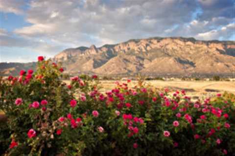 10 Pros and Cons of Living in New Mexico