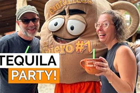 Fantastic day-trip to Tequila, Mexico! | What to expect