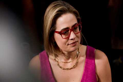 Kyrsten Sinema said she doesn't care if she loses reelection because she 'saved the Senate by myself' and can go serve 'on any board I want to,' book says