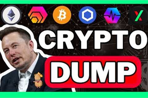 🧃 Juicy NEWS: Bull market is over? Elon Musk Crypto, Altcoins