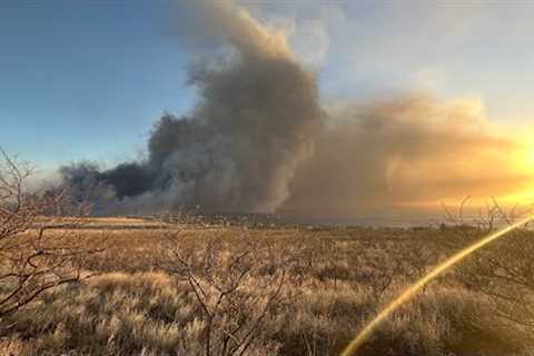 Lahaina Fire Survivors Story - Survive or Thrive