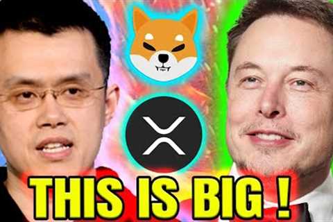 BREAKING CRYPTO NEWS TODAY!🎃 *THIS* IS LOOKING BULLISH! 👀📈🎃 CRYPTO LATEST UPDATE 🎃 BTC NEWS TODAY