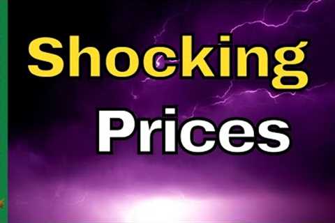 Who Can Afford FOOD At These Prices? - Pittsburgh Grocery Store Update