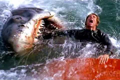 All the best shark attacks from Jaws 🌀 4K