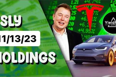 YieldMax TSLY Holdings Review - 11/13/23 (sell calls to save taxes?) #yieldmax #tsly