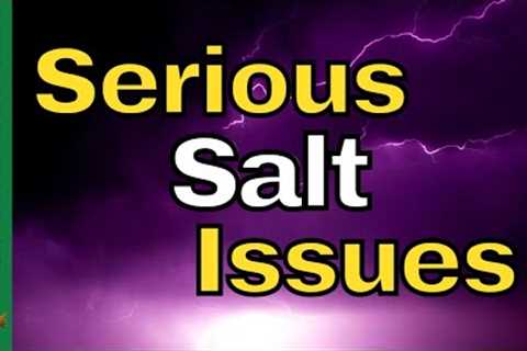 Salt SHORTAGE You NEED TO Pay Attention To
