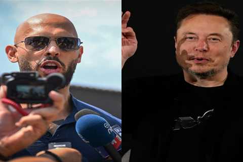 Andrew Tate said he'd give $1M a month to Elon Musk after major companies suspended their ad campaigns on X. It's not nearly enough to help him.