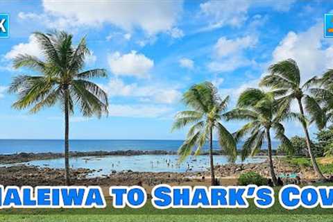Oahu North Shore Driving 🌈 From Haleiwa Historic Town to Shark's Cove ⛱️ Popular Spot for Snorkeling