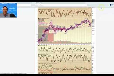 Hedge Fund Tips with Tom Hayes - VideoCast - Episode 214 - November 22, 2023
