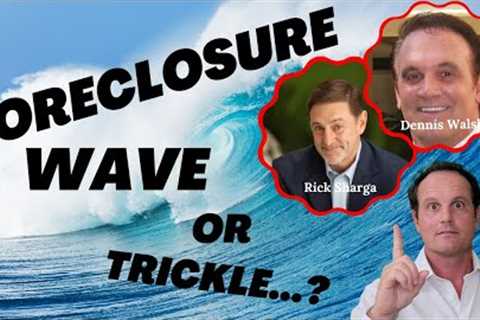 Foreclosure Report! Housing Market Update and Foreclosure Predictions