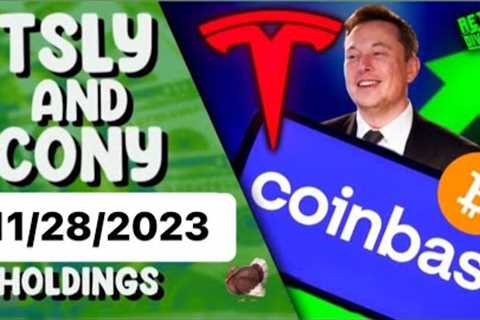 YieldMax Income ETF TSLY &amp; CONY Holdings Review - 11/28/23 (with baby) #tsly #cony #yieldmax
