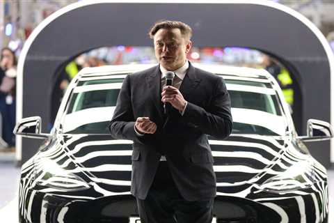 Elon Musk says China is Tesla's biggest rival in the EV war