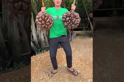 The Most Unique Fruit in the World - Here's How You Eat It! #Shorts