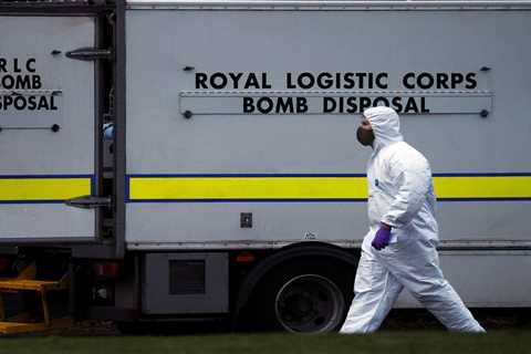 A couple's garden ornament turned out to be a live 64-pound navy shell