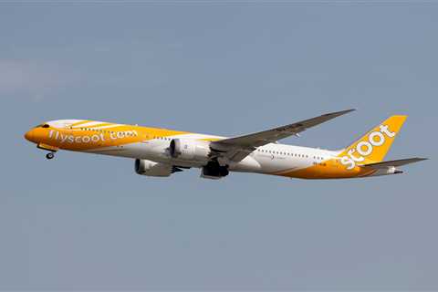 An airline passenger was escorted away by police after sparking a fight in the aisle and 'demanding drinks' from flight attendants
