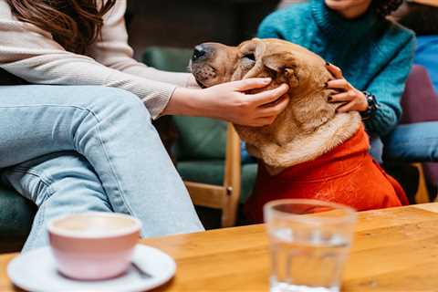 I started conversations with 10 strangers over a month to gain confidence in my dating life. Here are my biggest takeaways.