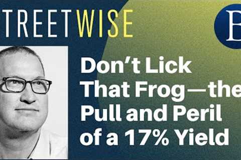 Don’t Lick That Frog—the Pull and Peril of a 17% Yield | Barron's Streetwise