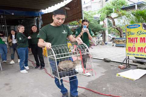 A Vietnamese restaurant that drowned up to 300 cats a month has shut. Its owner apologized for slaughtering pets.
