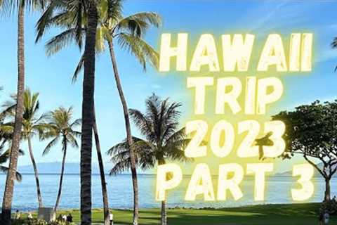 Hawaii Summer 2023 - Part 3 || Wailea Beach Resort 🏝️|| Maui, USA