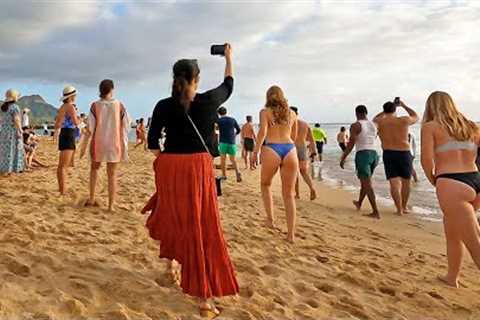 HAWAII PEOPLE | Walking to Hilton Hawaiian Village Waikiki Beach Resort  #travelvlog  #walkingtour