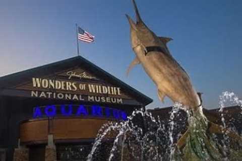 Wonders of Wildlife National Museum &amp; Aquarium