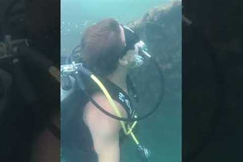 Diving the USS Arizona on Memorial Day #ussarizona #military #navy #navydiver #memorialday #diving