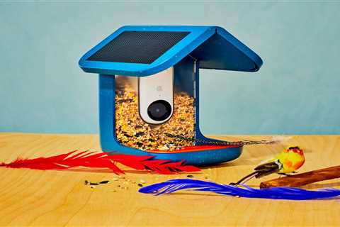 Smart Tech for the Home Doesn’t Have to Be Ugly