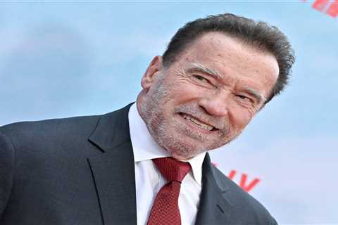 Are you sure you have nothing to declare? Let Arnold Schwarzenegger and his pricey watch be a lesson to us all.