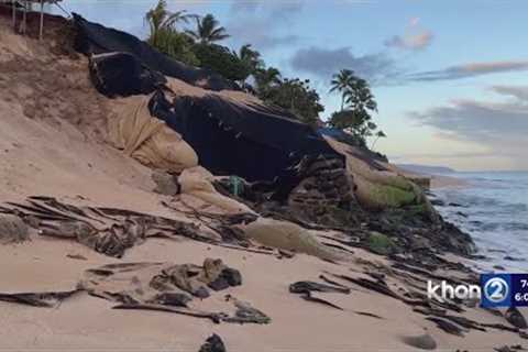 North Shore property owners ordered to pay $1M in fines
