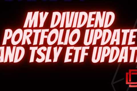 YieldMax ETFs TSLY ETF and Dividend Portfolio Update ( The Dividend Snowball Effect )