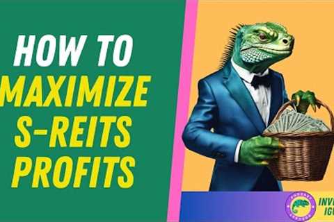 REITs Earnings Season: Key Insights for Singapore Investors  |  The Investing Iguana 🦖