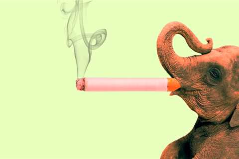 Inside the right-wing subculture of Zyn-obsessed nicotine fiends