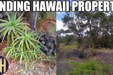 How We Found Our Property On The Big Island Of Hawaii :: Hawaiian Ocean View Estates One Acre Lot!