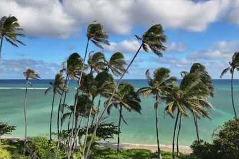 Largest Beachfront Property for sale on Hawaii’s Most Exclusive Street: Kahala, Oahu, Hawaii