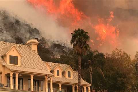 Home prices are 65% higher in places with high-risk air quality as climate change warps the housing market