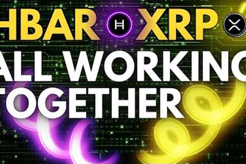HUGE BULLISH CRYPTO NEWS THE NEXT CRYPTO CYCLE XRP