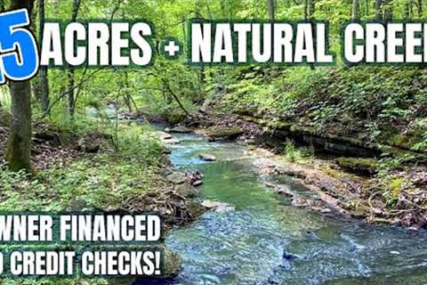 $1,500 Down Payment - Owner Financed 15 acres with Natural Creek and gorgeous meadow! ID#PH13