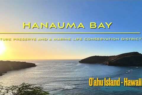 Nature Preserve Hanauma Bay, Hawaii- Discovering Marine Life by Snorkeling in O’ahu island -HAWAII
