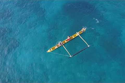 Discover Kealakekua's Coastal Wonder | Kayak Tours, Canoe Rides, and Stand-up-Paddling #konatours