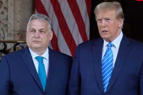 Trump's plan to end the Ukraine war is to totally cut off funding, says Putin's closest EU ally