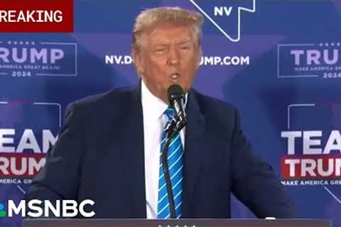 BREAKING: Fulton County judge dismisses 3 counts against Trump