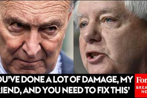 JUST IN: Lindsey Graham Gives Blunt Response To Chuck Schumer's Remarks On Netanyahu