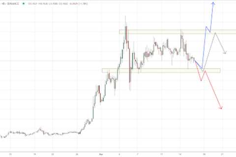 Dogecoin’s Surge Ignited by Musk