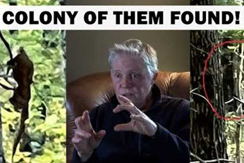 MUST SEE photos of Full-Body Bigfoot and Dogmen | Gene Harrison's Story