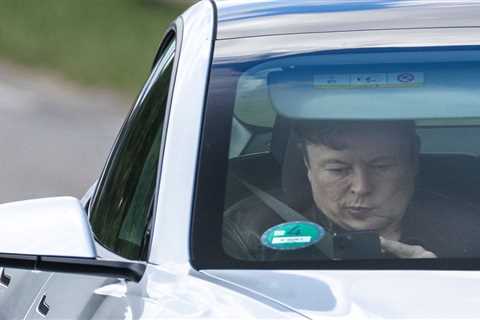 Elon Musk says Tesla will unveil its robotaxi this year      