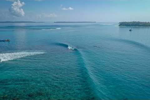 THE WORLD'S BEST SURFING LOCATION