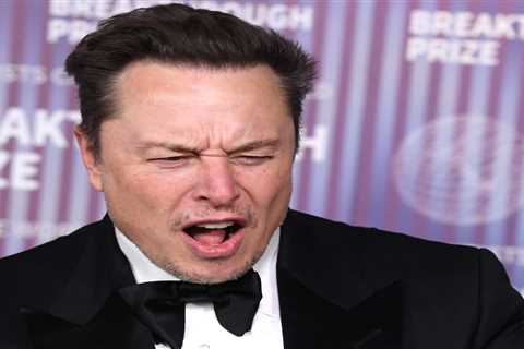 A South Korean woman says she fell in love with a fake Elon Musk who talked up a storm about building Gigafactories and luxe helicopter rides. Then she gave him $50,000.